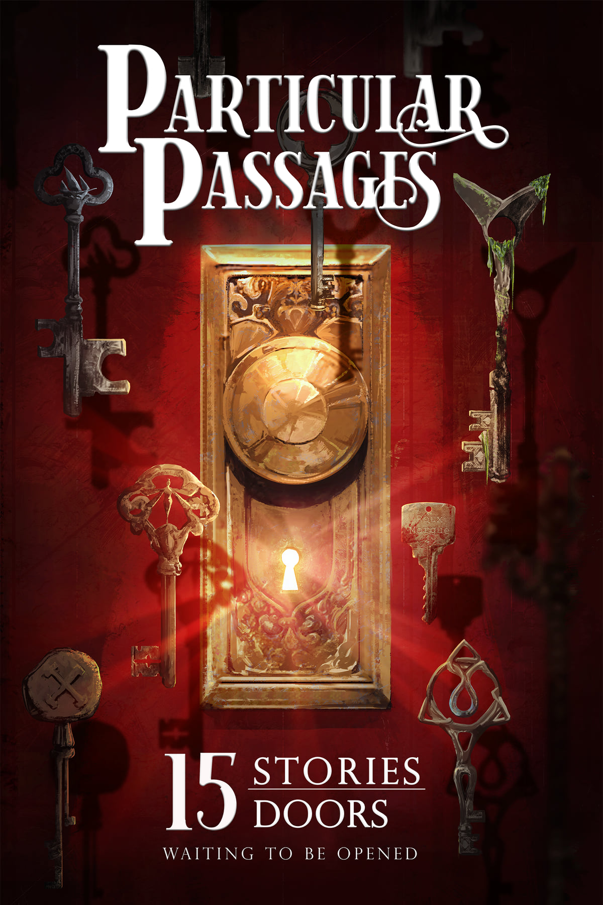 Particular Passages: 15 Stories, Doors Waiting to Be Opened, Book Cover