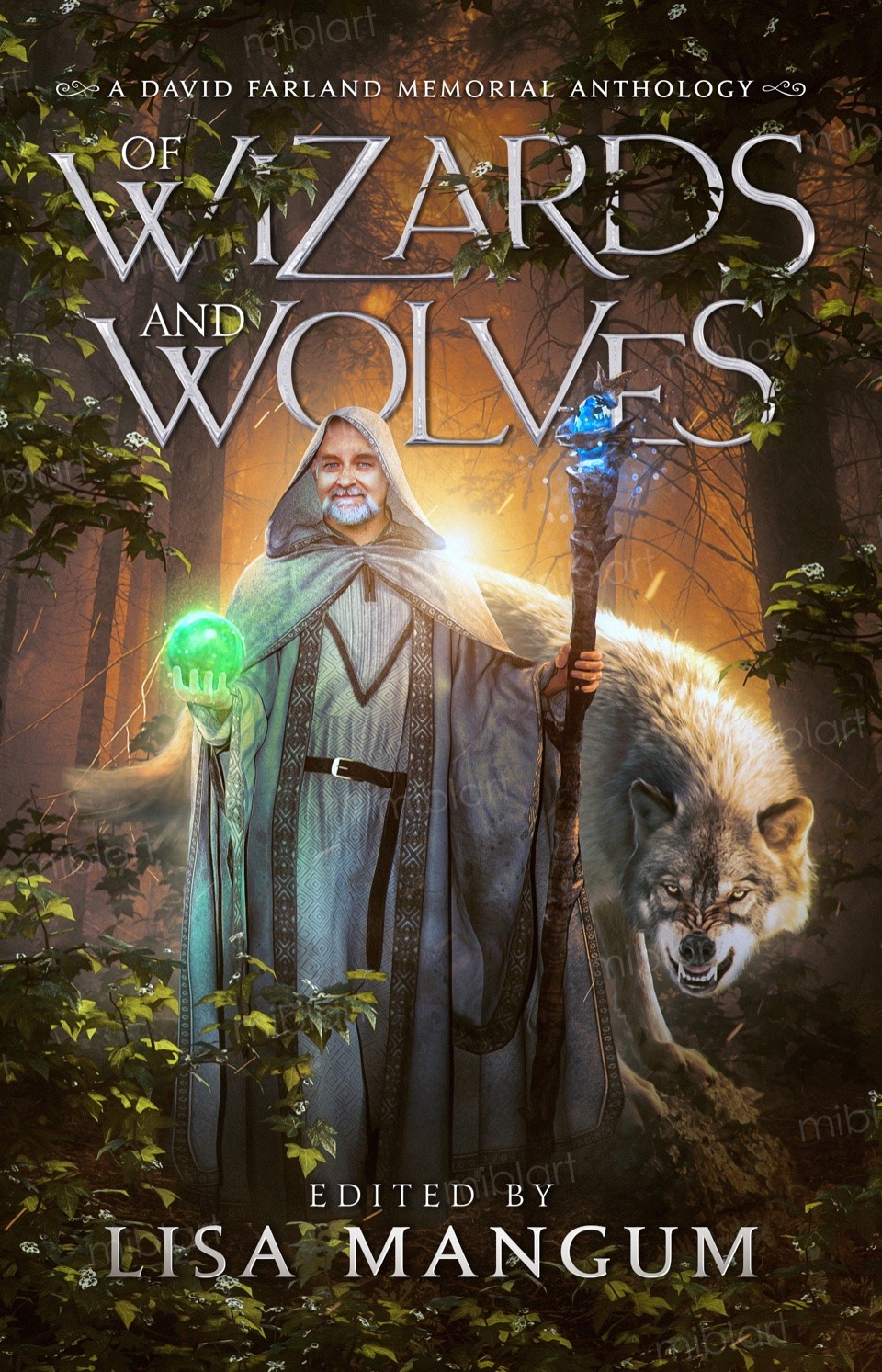 Wizards and Wolves Front Cover Of Wizards and Wolves, Book Cover